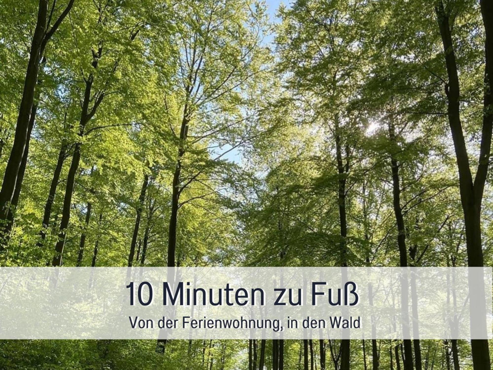 Am Feldrain - Urlaub Mit Hund Im Weserbergland Munden  Luaran gambar